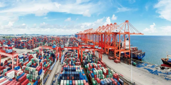 什么是海运港口服务？