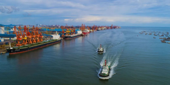 什么是集装箱船舶内贸海运行表贸？