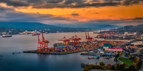 首页-人生就是博手机版