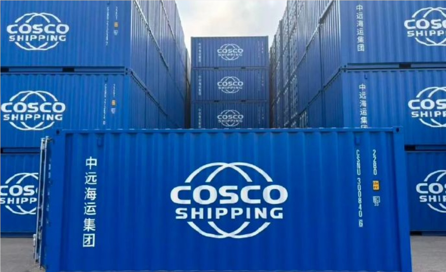 首页-人生就是博手机版