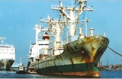 首页-人生就是博手机版