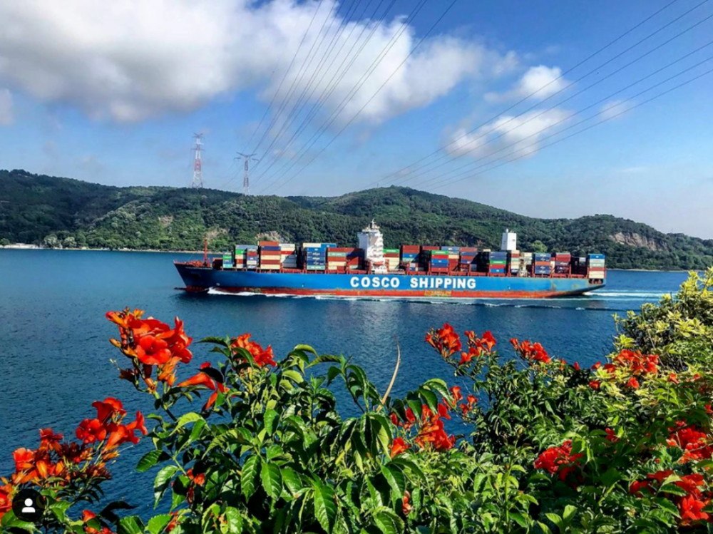 首页-人生就是博手机版