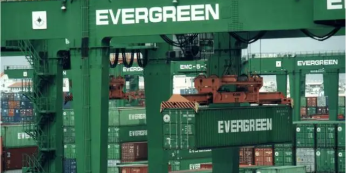 首页-人生就是博手机版