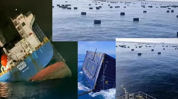 首页-人生就是博手机版