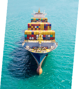 首页-人生就是博手机版